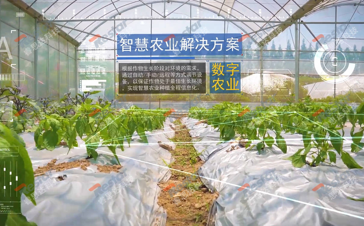 一套农业物联网LD乐动体育智能大棚种植系统大概需要多少钱？(图2)
