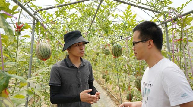 留学归来后回到农村他靠农场年入3乐动体育00多万(图3)